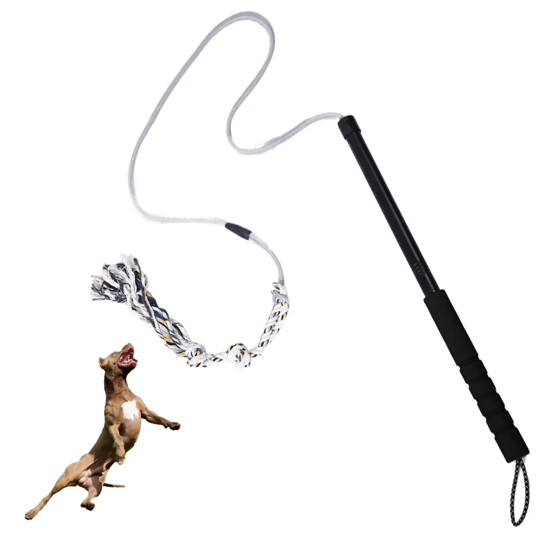 Chaselure flirt pole on a white background, telescopic handle and braided cotton lure, with a dog leaping for it